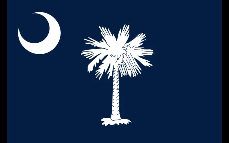 South Carolina state flag